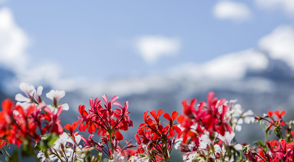 Artemis Easy Stay Self Check In-Out Saas Fee Exteriér fotografie