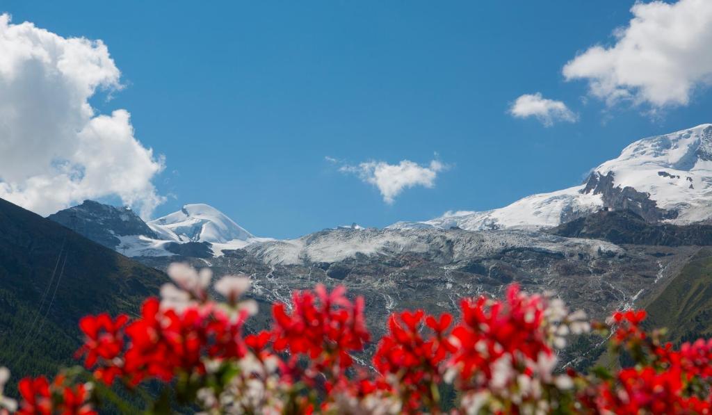 Artemis Easy Stay Self Check In-Out Saas Fee Pokoj fotografie